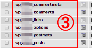 データベースの表示例「wp_任意の文字列」の場合