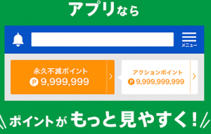 セゾン永久不滅ポイントは、残高が分かりやすい